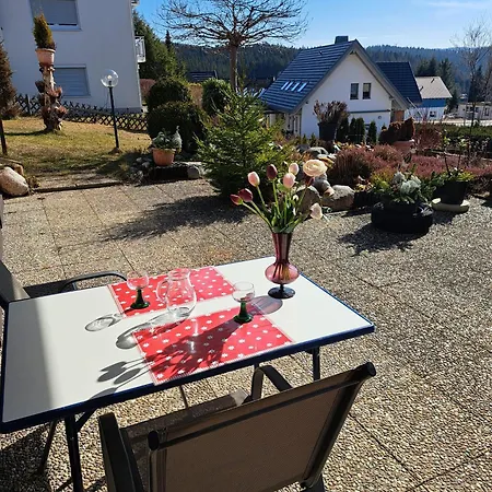 Apartment Haus Schluchseeblick Schluchsee