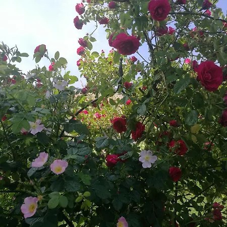 Haus Schluchseeblick Schluchsee