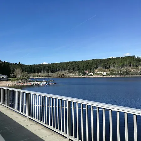 Lägenhet Haus Schluchseeblick *