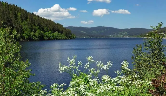 Haus Schluchseeblick Apartment *